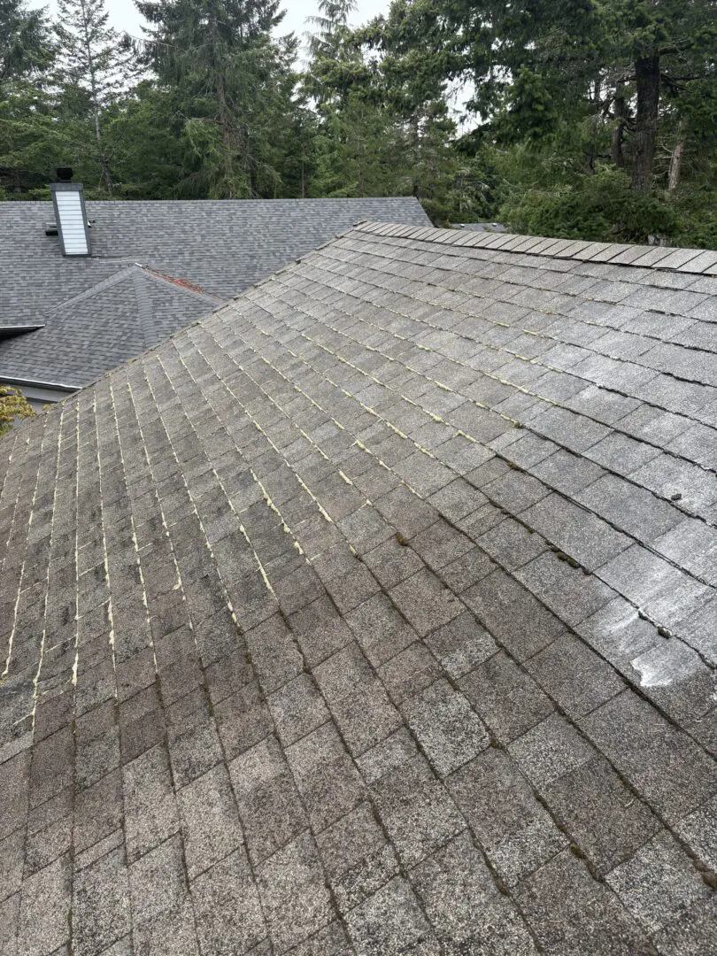 Roof shingles covered with moss and dirt.